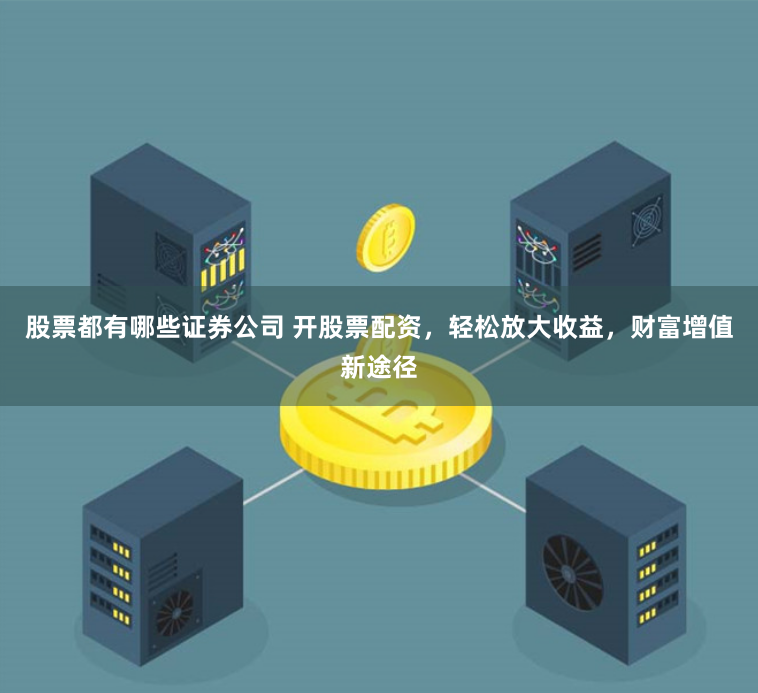 股票都有哪些证券公司 开股票配资,轻松放大收益,财富增值新途径