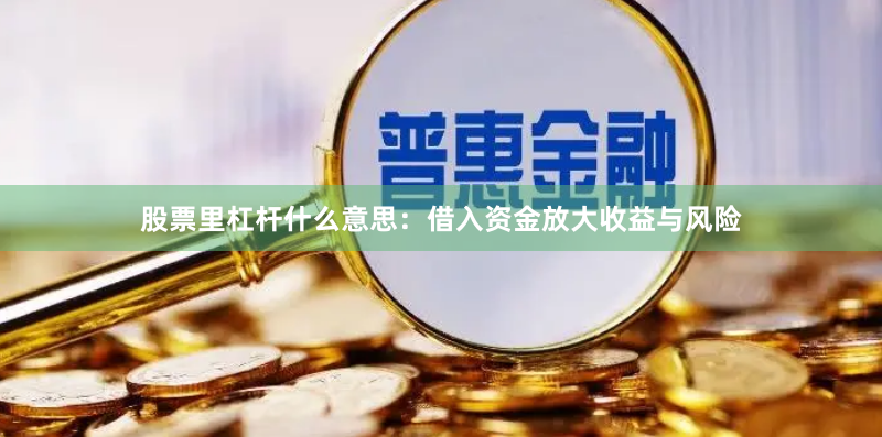 股票里杠杆什么意思：借入资金放大收益与风险